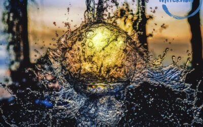 Wasser richtig behandeln – Im Dialog mit Marion Selzer