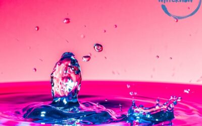 Anomalien des Wassers